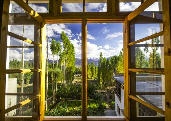 Cost of Wood Window Replacement in Bronx