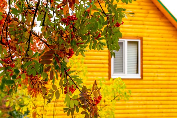 Cost of Garden Window Replacement in Bronx